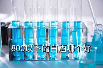 800以下的白酒哪個好