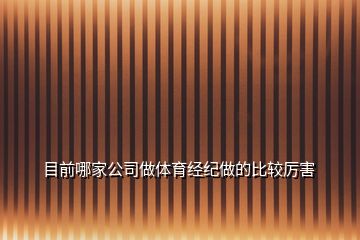 目前哪家公司做體育經(jīng)紀做的比較厲害