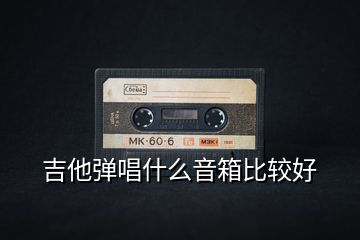 吉他彈唱什么音箱比較好