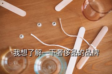 我想了解一下奢侈品的品牌