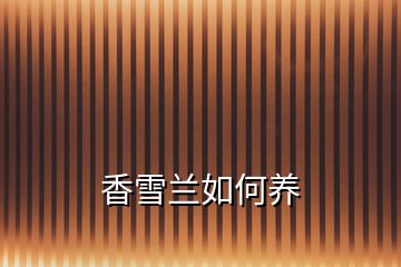 香雪蘭如何養(yǎng)