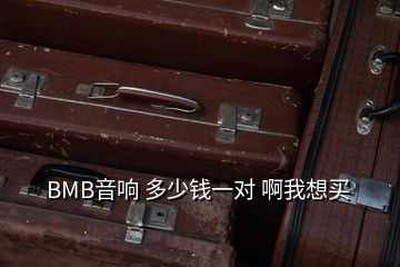 BMB音響 多少錢一對(duì) 啊我想買