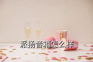 派揚(yáng)音箱怎么樣