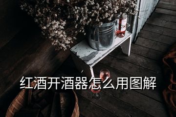 紅酒開酒器怎么用圖解