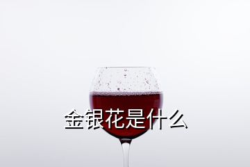 金銀花是什么