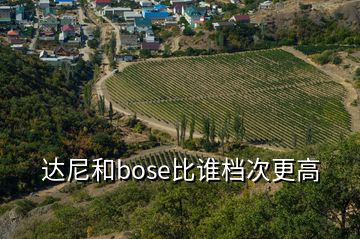 達尼和bose比誰檔次更高