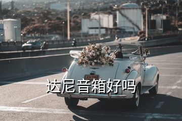 達(dá)尼音箱好嗎