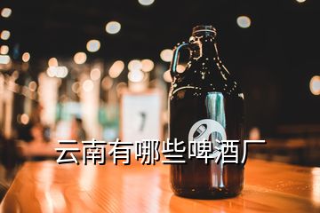 云南有哪些啤酒廠