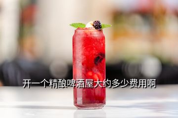 開(kāi)一個(gè)精釀啤酒屋大約多少費(fèi)用啊