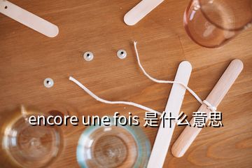 encore une fois 是什么意思