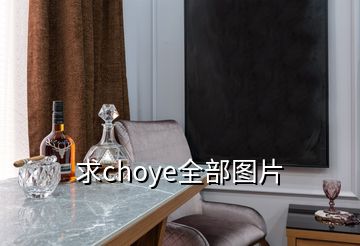 求choye全部圖片