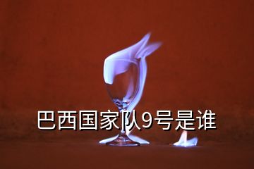 巴西國(guó)家隊(duì)9號(hào)是誰(shuí)