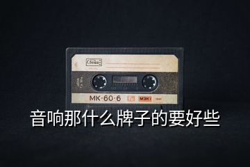 音響那什么牌子的要好些