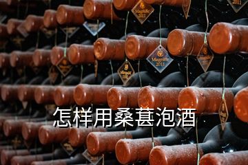 怎樣用桑葚泡酒