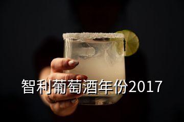 智利葡萄酒年份2017