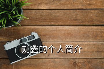 劉鑫的個(gè)人簡(jiǎn)介