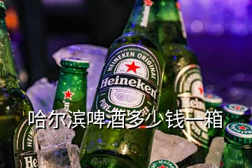 哈爾濱啤酒多少錢一箱