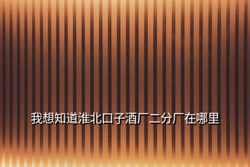 我想知道淮北口子酒廠二分廠在哪里