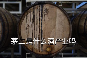 茅二是什么酒產(chǎn)業(yè)嗎