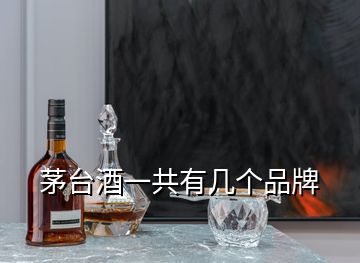 茅臺(tái)酒一共有幾個(gè)品牌