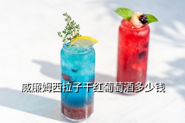 威廉姆西拉子干紅葡萄酒多少錢(qián)