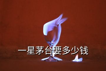 一星茅臺(tái)要多少錢