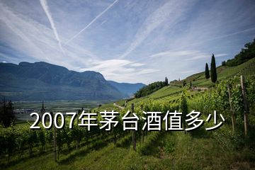 2007年茅臺(tái)酒值多少