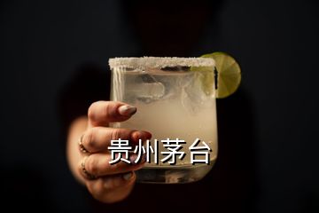 貴州茅臺(tái)