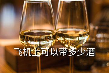 飛機上可以帶多少酒