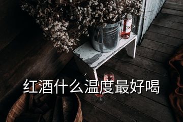 紅酒什么溫度最好喝