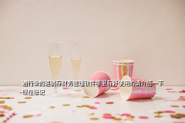 酒行業(yè)的進(jìn)銷存財(cái)務(wù)管理軟件哪里有好使用的請(qǐng)介紹一下現(xiàn)在賬記