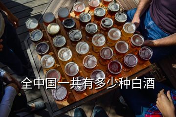 全中國(guó)一共有多少種白酒