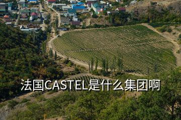 法國CASTEL是什么集團啊