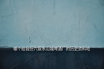 哪個(gè)給我份六盤水山城啤酒廠的歷史資料哈