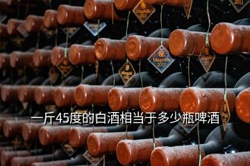 一斤45度的白酒相當(dāng)于多少瓶啤酒