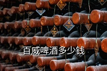 百威啤酒多少錢