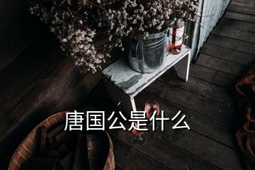 唐國公是什么