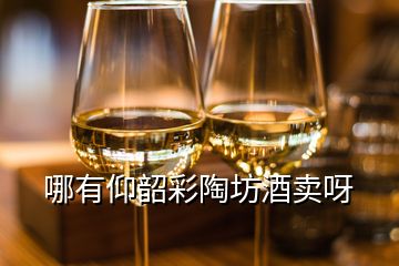 哪有仰韶彩陶坊酒賣呀