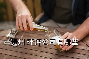 貴州 環(huán)評公司有哪些