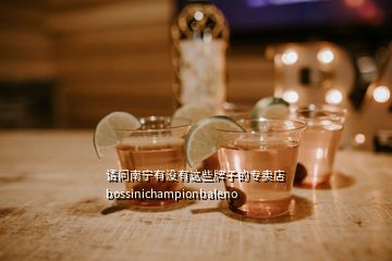 請問南寧有沒有這些牌子的專賣店bossinichampionbaleno