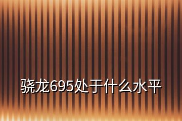 驍龍695處于什么水平