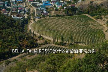 BELLA ITALIA ROSSO是什么葡萄酒 非常感謝