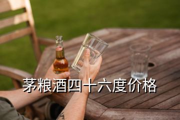 茅糧酒四十六度價格