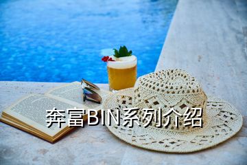 奔富BIN系列介紹