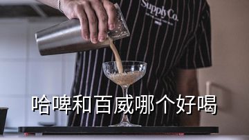 哈啤和百威哪個好喝