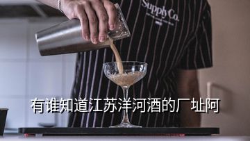 有誰知道江蘇洋河酒的廠址阿