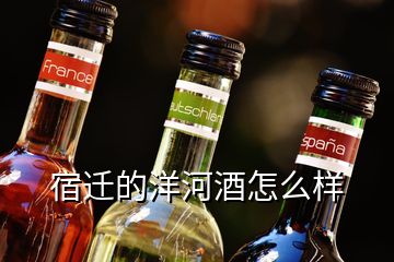 宿遷的洋河酒怎么樣