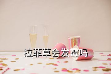 拉菲草會發(fā)霉嗎