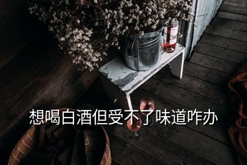 想喝白酒但受不了味道咋辦