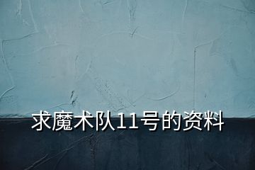 求魔術(shù)隊11號的資料